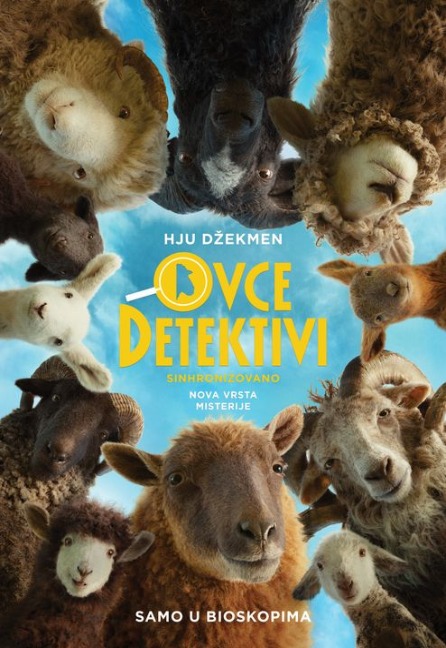Ovce detektivi