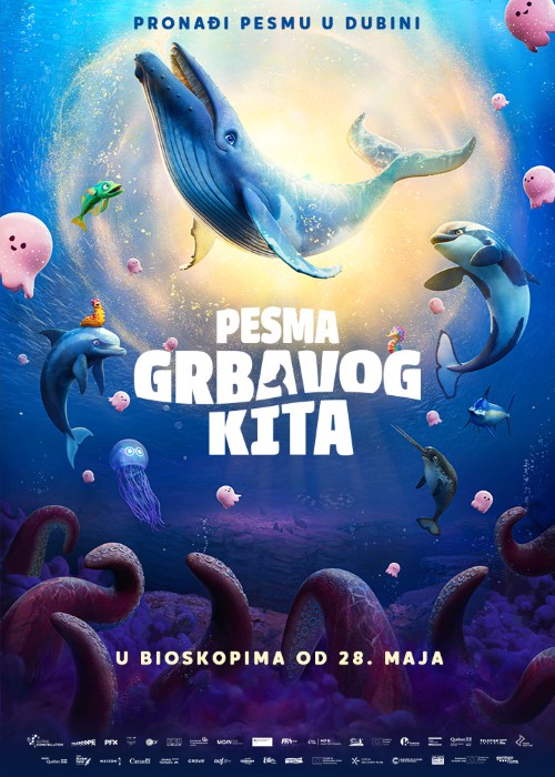 Pesma grbavog kita